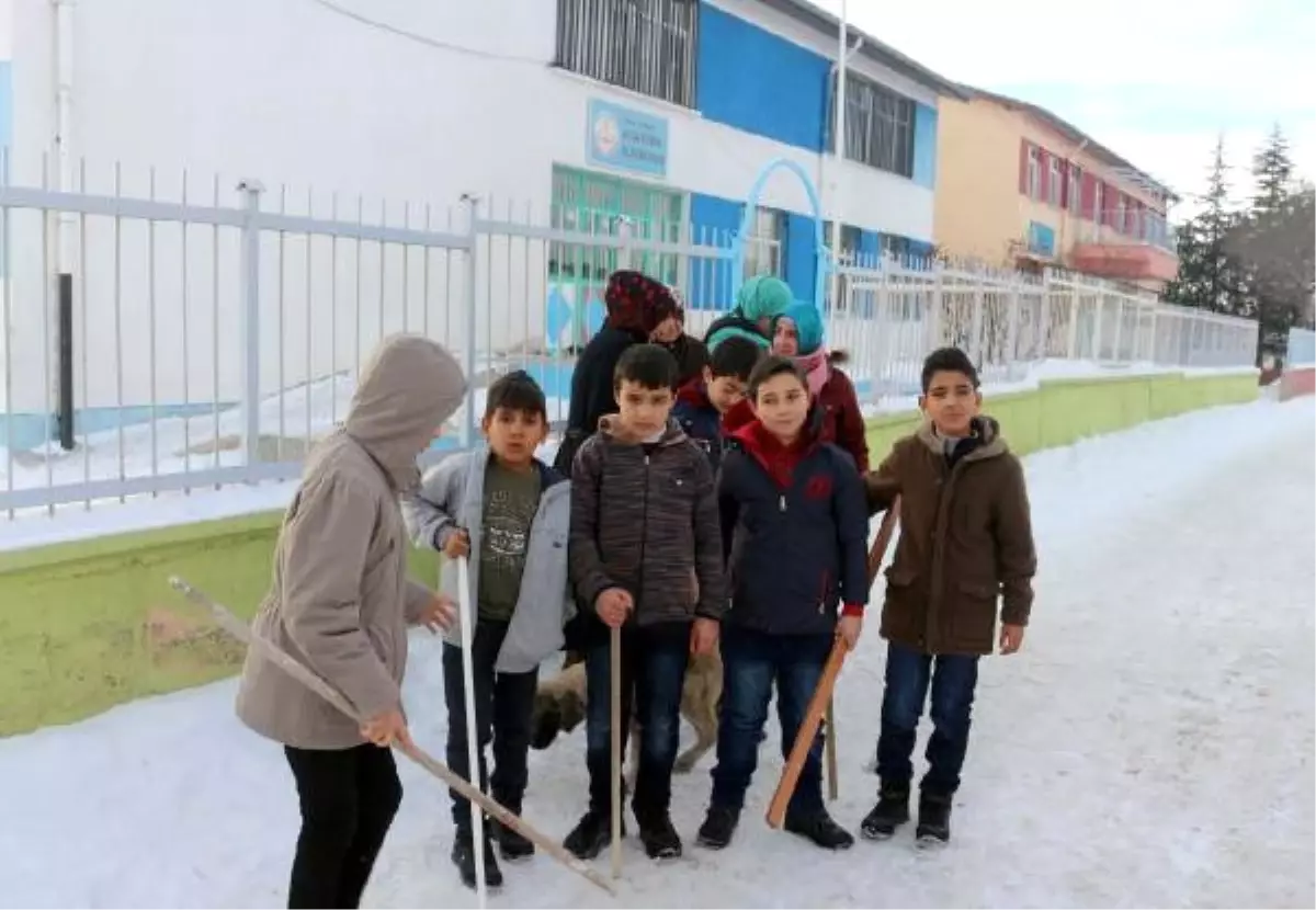 Haymana\'da Köpeklerin Saldırdığı Çocuk Yaralandı, Öğrenciler Okula Sopa ile Gidiyor