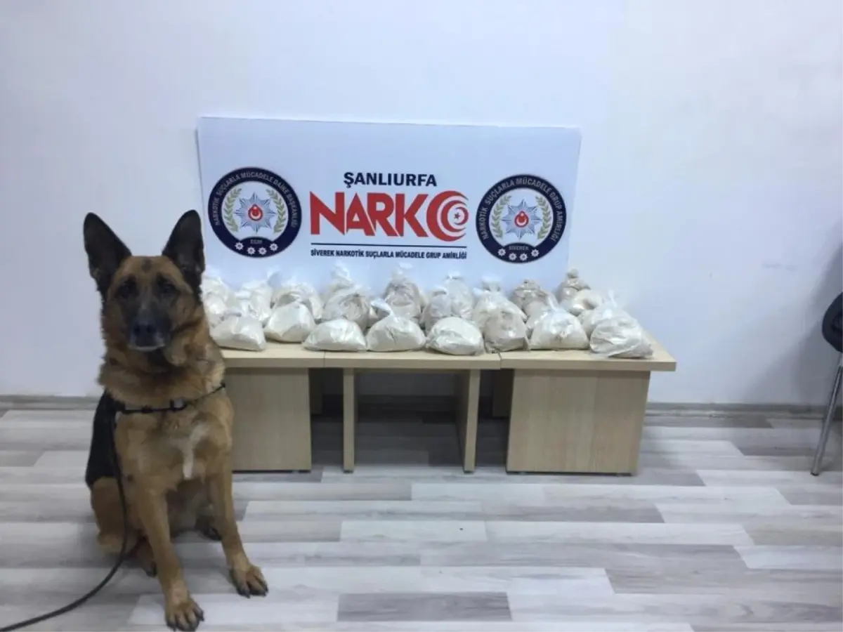 Narkotik Köpeği 19 Kilo Eroini Buldu