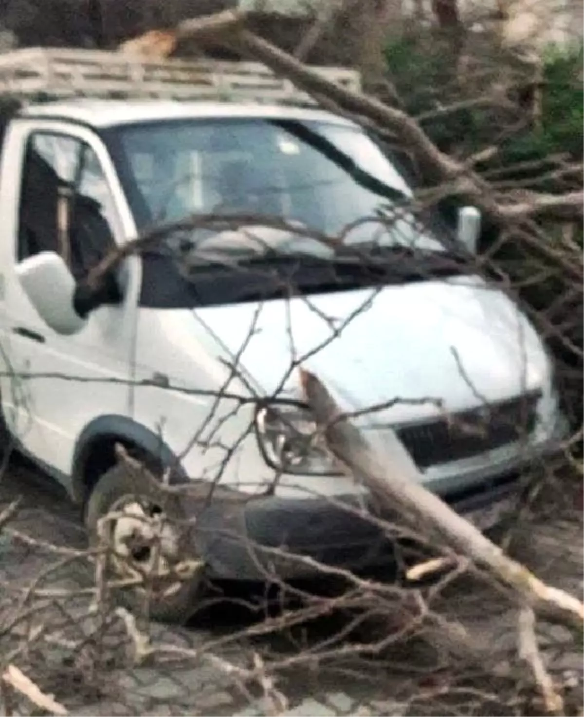 Sapanca\'da Kuvvetli Rüzgar Hasara Yol Açtı