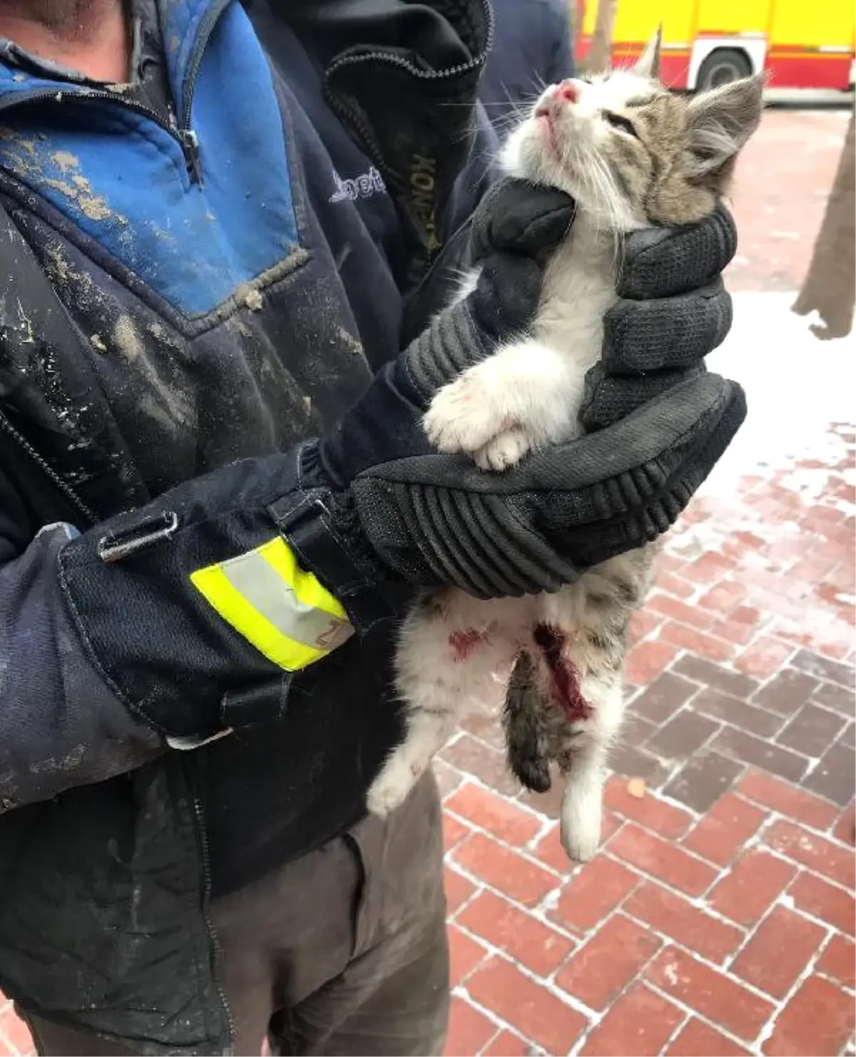 Soğukta Girdiği Kamyonetin Motor Bölümünde Sıkışan Kedi Kurtarıldı