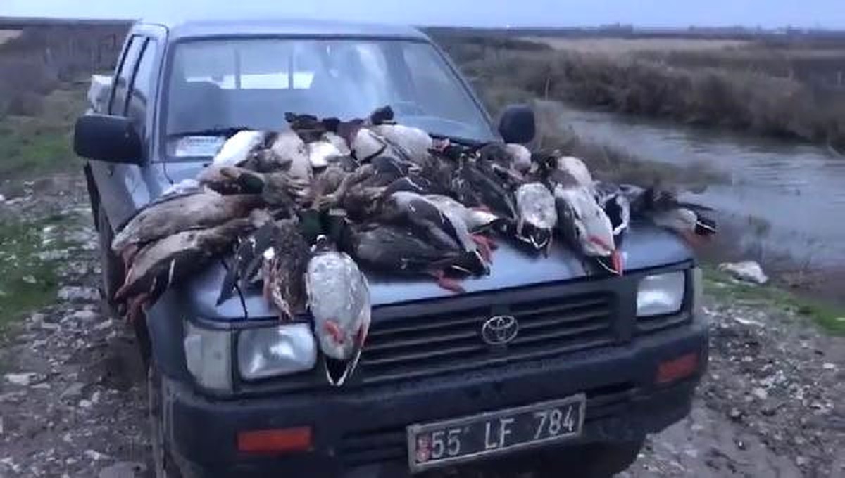 37 Yaban Ördeği Öldüren Avcılara 22 Bin 595 Lira Ceza