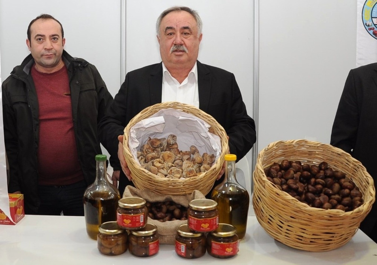 Aydın\'ın En Meşhur Efeleri: İncir, Kestane, Zeytin