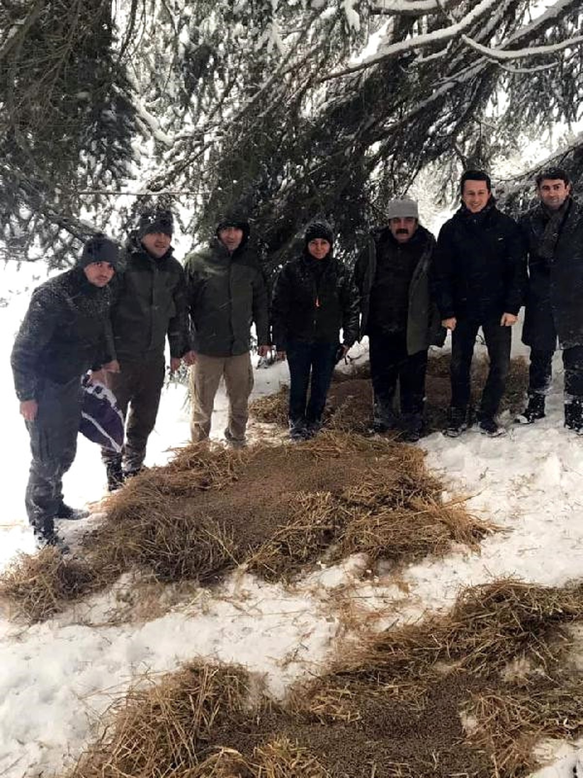 Bolu\'da Yaban Hayvanları İçin Doğaya Yem Bırakıldı