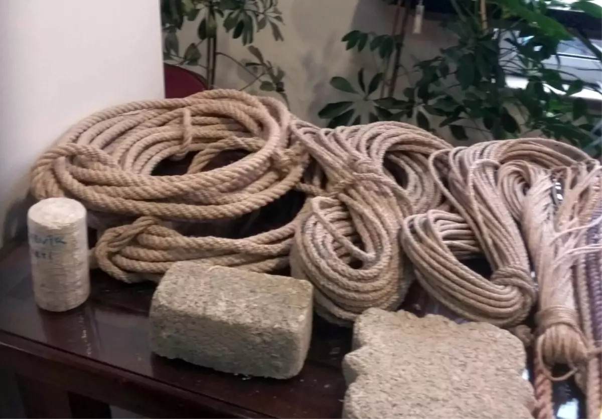 Cumhurbaşkanı Erdoğan\'ın \'Kenevir Üreteceğiz\' Açıklaması Kastamonu\'da Sevinçle Karşılandı