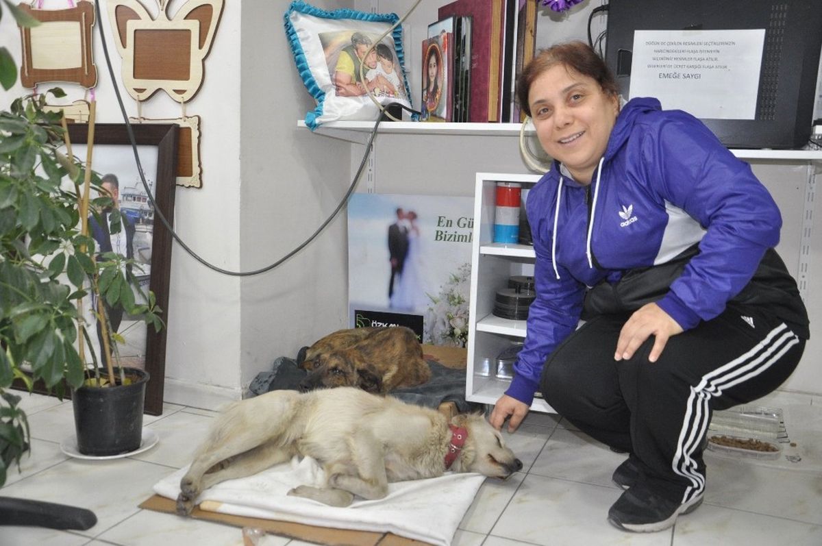 Günde 2 Öğün Mamasını Ağzında Poşetle 9 Yavrusuna Taşıyor