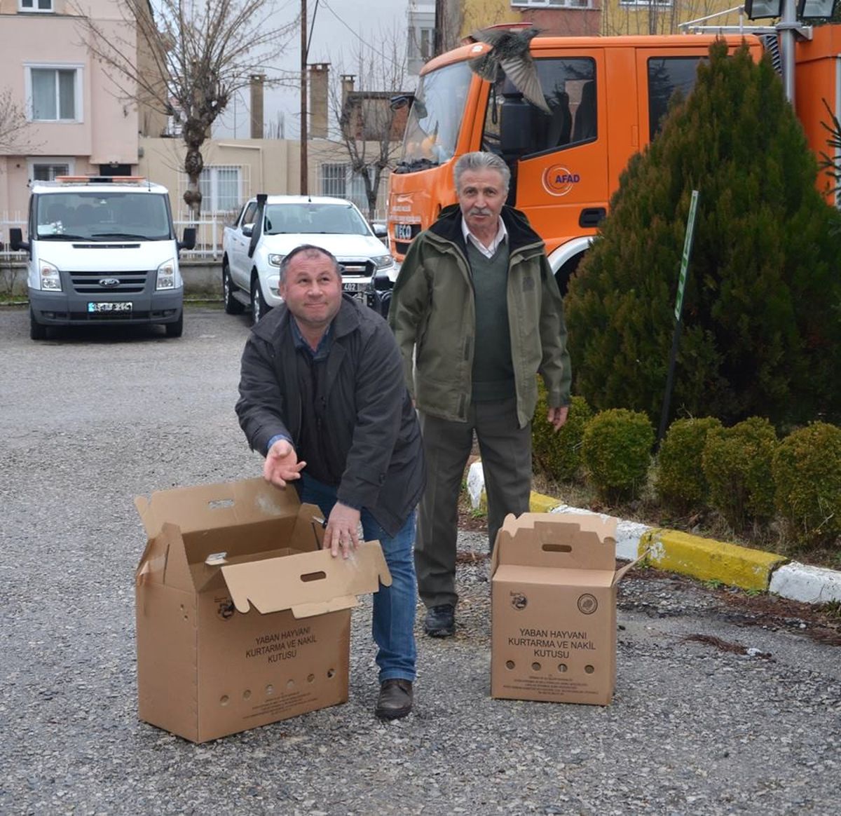 Kırklareli\'nde Ölmek Üzere Olan Onlarca Kuş Bulundu