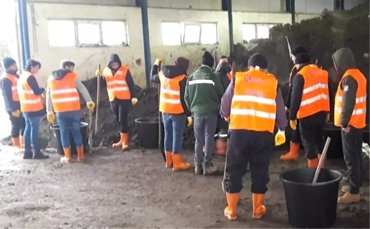 Kocaeli\'yi Denetimli Serbestlik Yükümlüleri Ağaçlandıracak