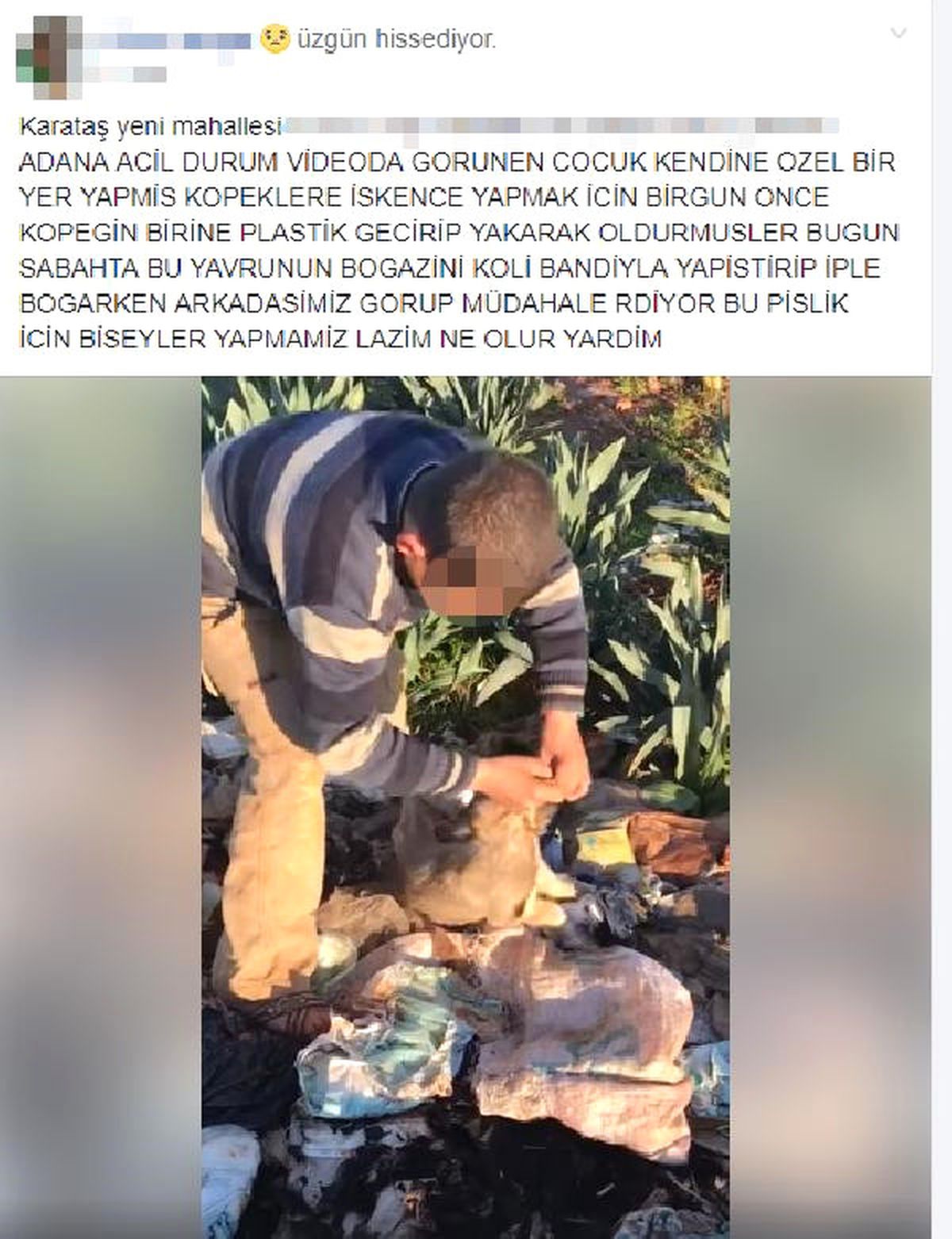 Köpeğe İşkence Görüntüleri Kamerada