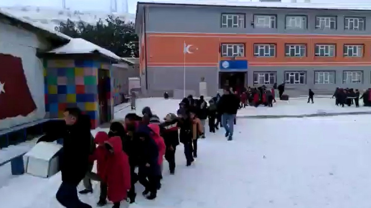 Öğrenciler Sokak Kedileri Üşümesin Diye Ev Yaptı