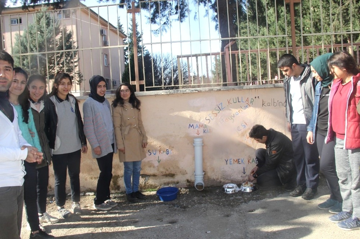 Öğrencilerden Sokak Hayvanları İçin Örnek Proje