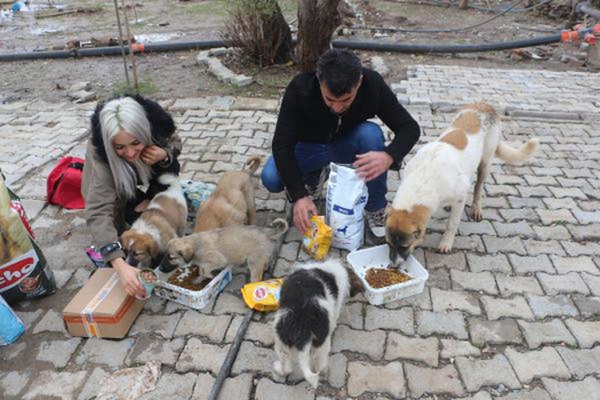 Sokak Köpeklerini Evinde Besleyen Hayvansevere Mama Desteği