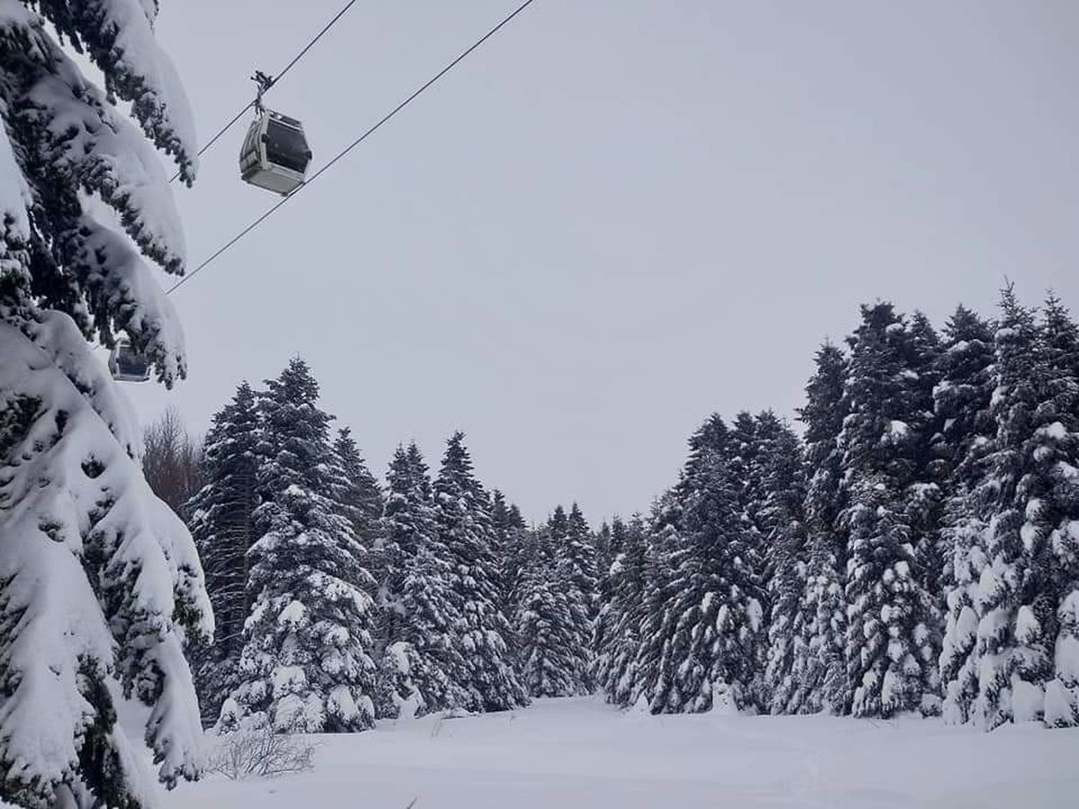 Teleferiğe Şiddetli Rüzgar Engeli