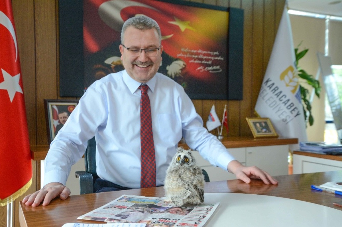 Yavru Baykuş Belediye Başkanının Maskotu Oldu