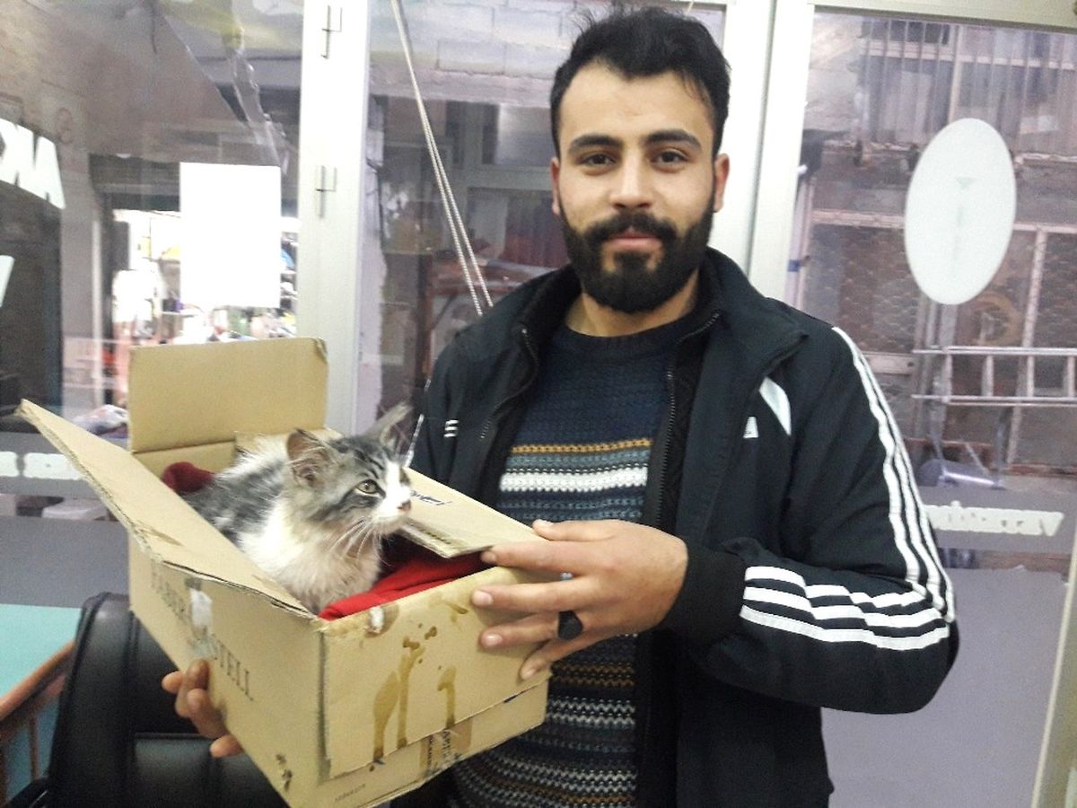 Yavru Kediyi Donmaktan Kurtardı