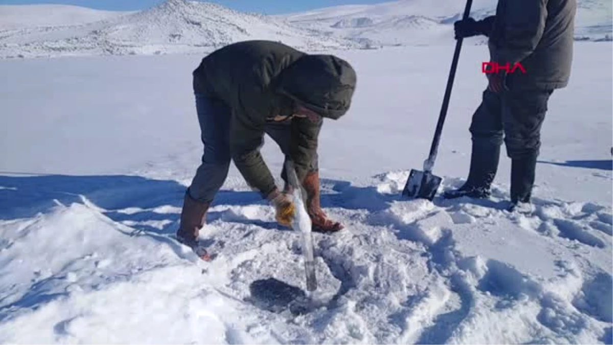 Ardahan Donan Çıldır Gölü\'nde, Eskimo Usulü Balık Avlıyorlar