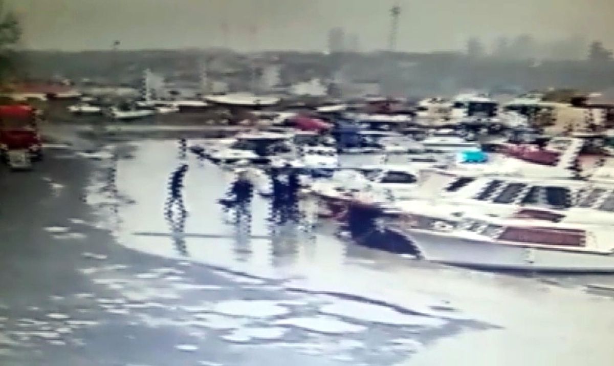 Denize Düşen Arkadaşlarını Havlayarak Kurtardılar