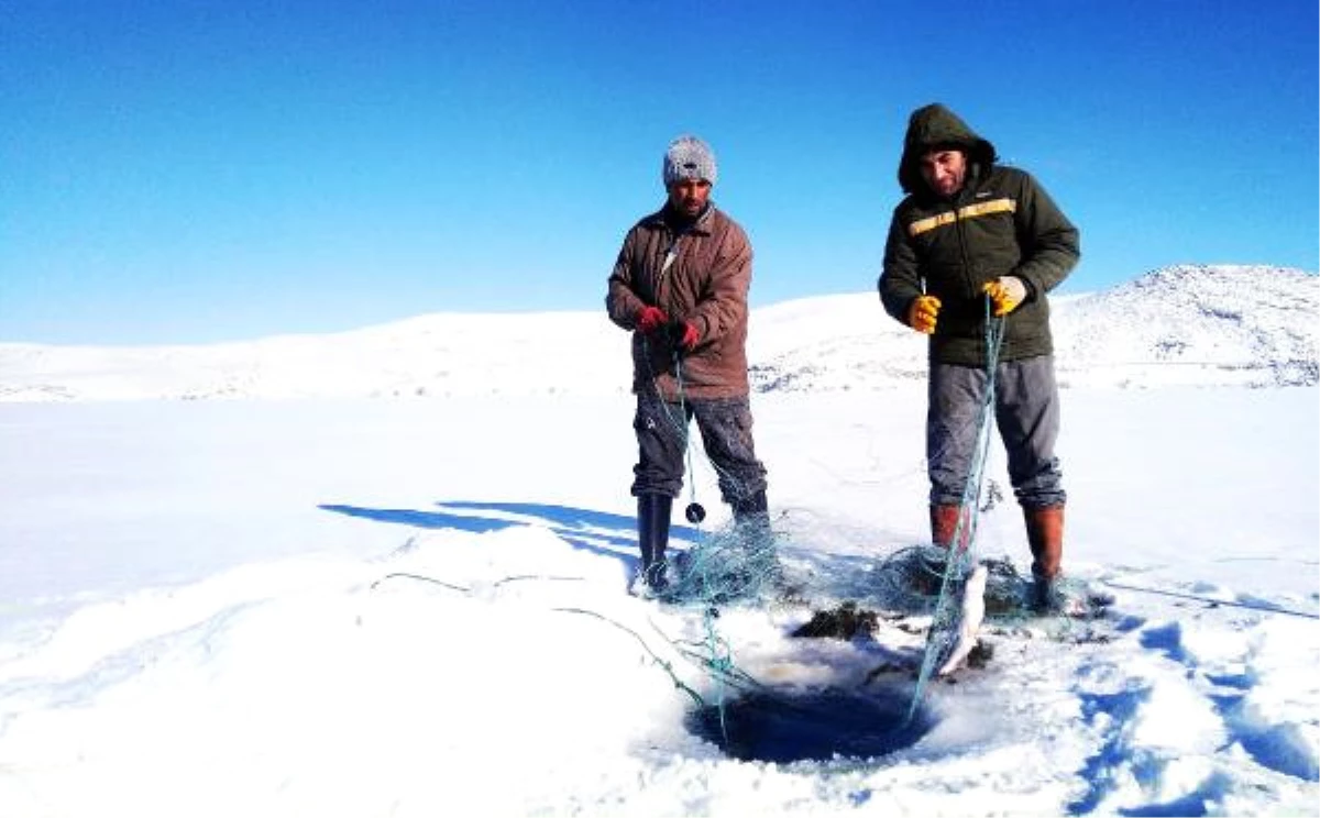 Donan Çıldır Gölü\'nde, Eskimo Usulü Balık Avlıyorlar