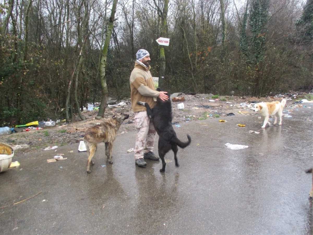 Eğitmen Göktan Eker, Köpek Saldırılarından Korunma Yöntemlerini Anlattı