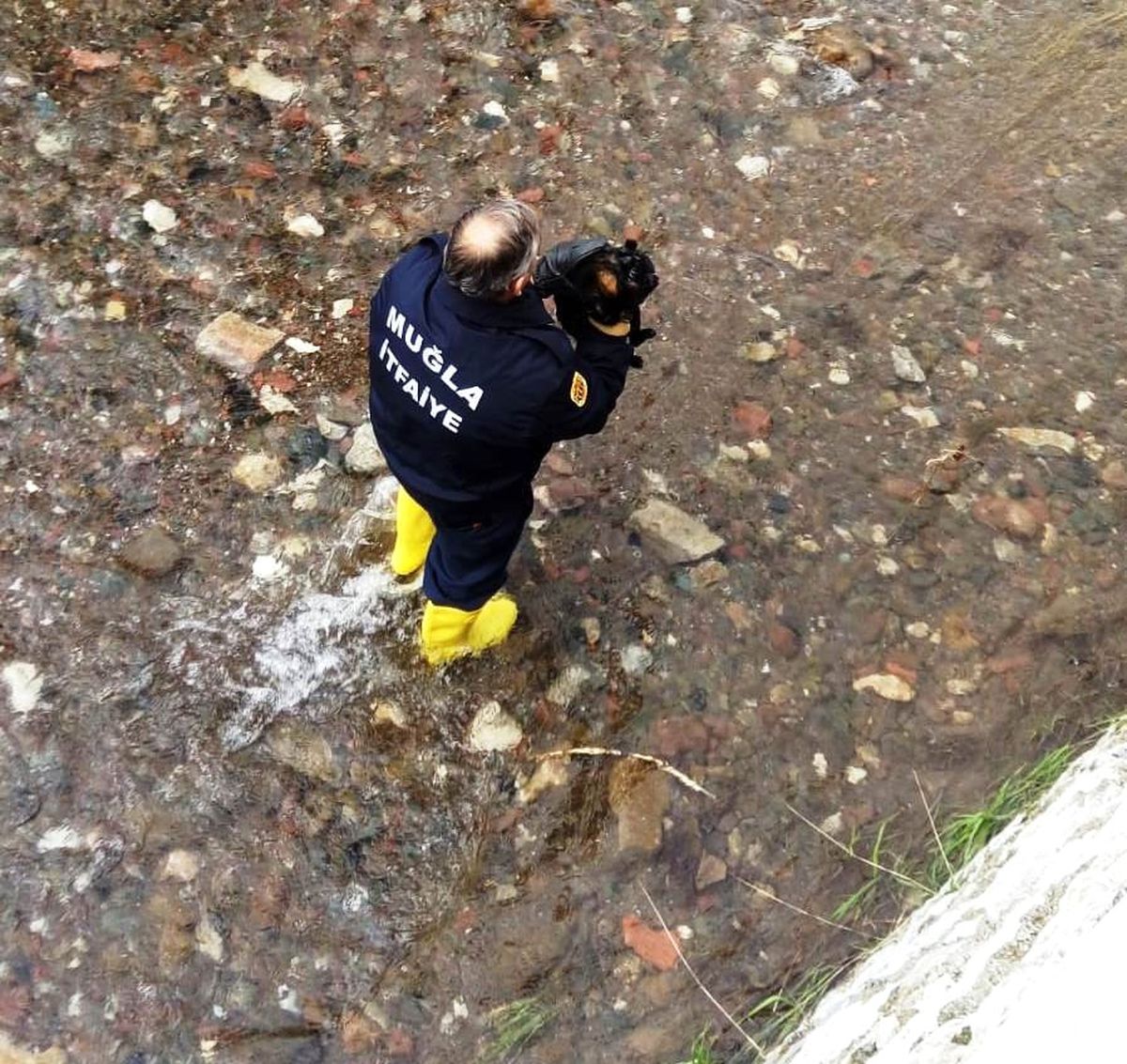 Kediyi Kurtarmak İçin İtfaiye Ekipleri Seferber Oldu