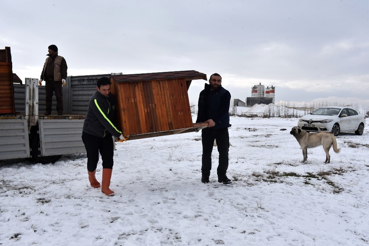 Konya\'da Sokak Köpeklerine Sıcak Yuva