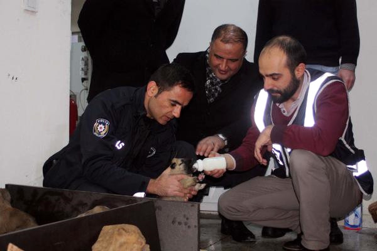 Donmak Üzere Olan Yavru Köpeklere Polis Sahip Çıktı