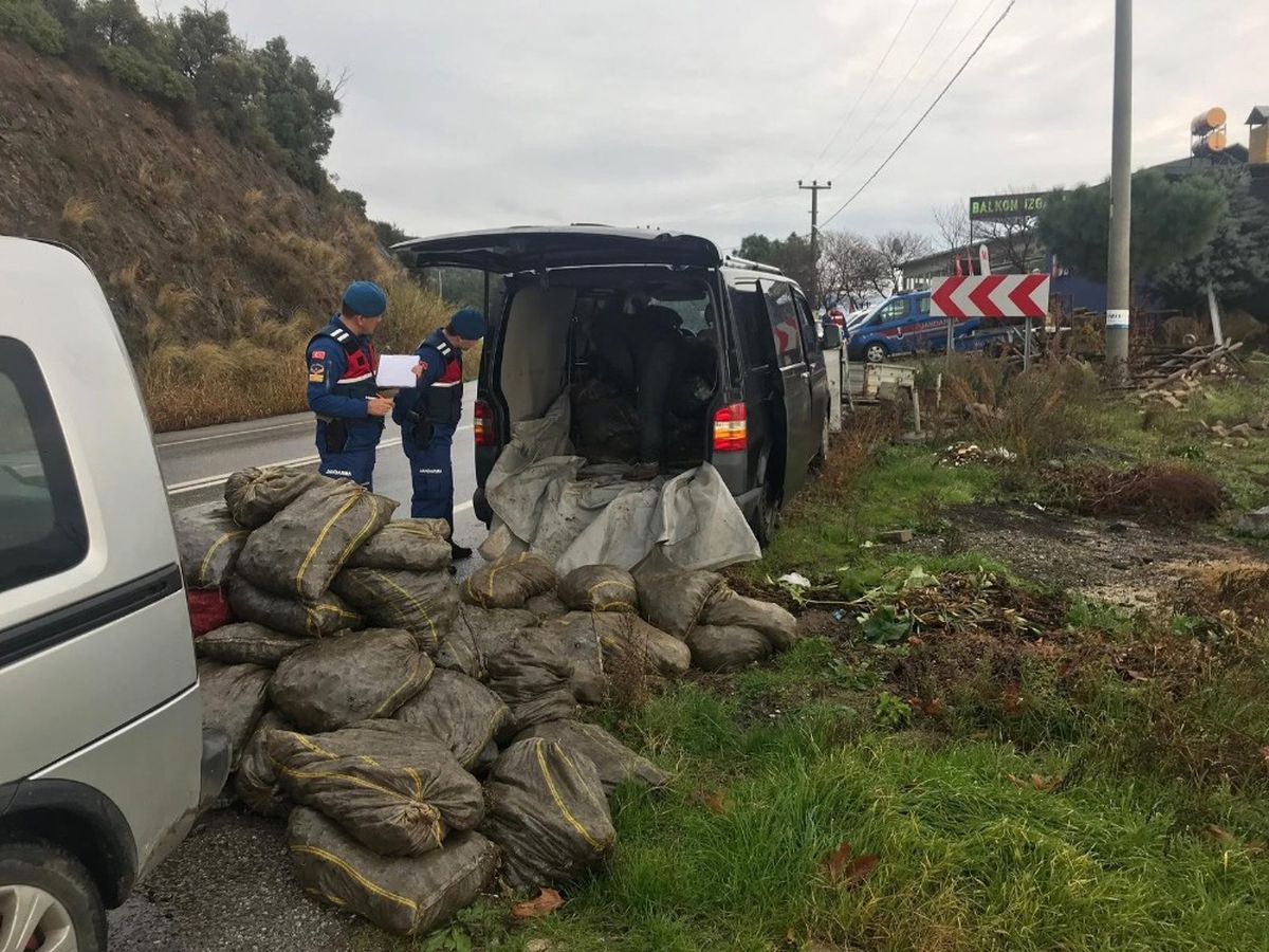 Gemlik\'te 2 Ton Kaçak Midye Ele Geçirildi