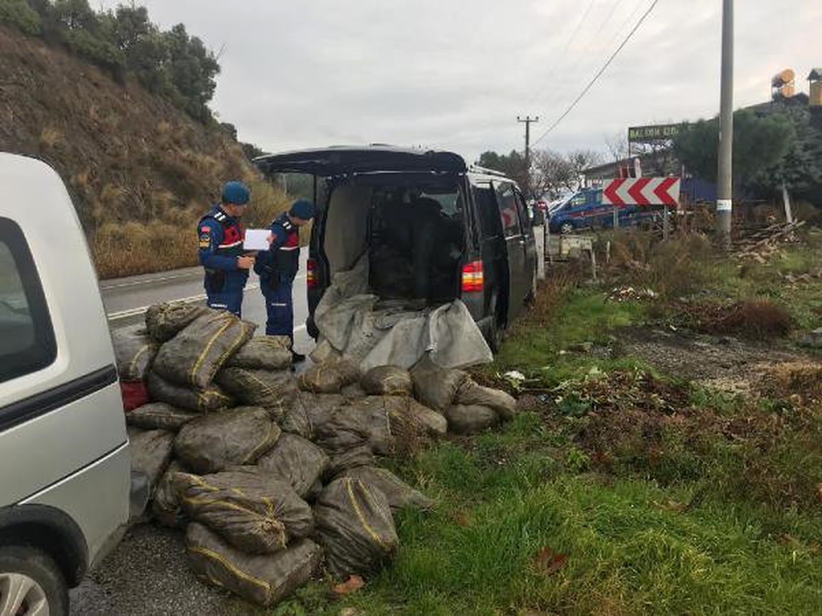 İki Araçta, 2 Ton Kaçak Midye Ele Geçirildi