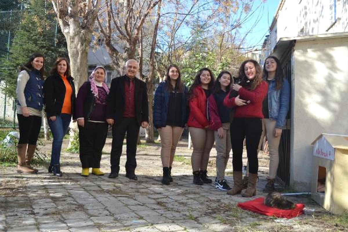 Ön Bacakları Kesilen Kedi ve İki Yavrusuna Öğrenciler Kucak Açtı