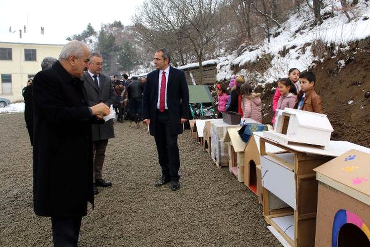 Tosya\'da Sokak Hayvanları İçin Kulübe
