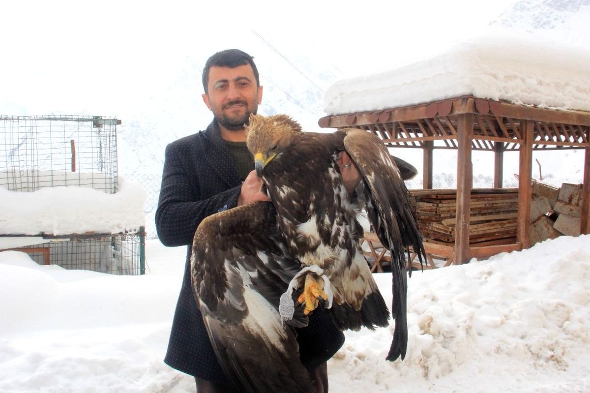 Yaralı Kaya Kartalı Acısını İmamdan Çıkarttı