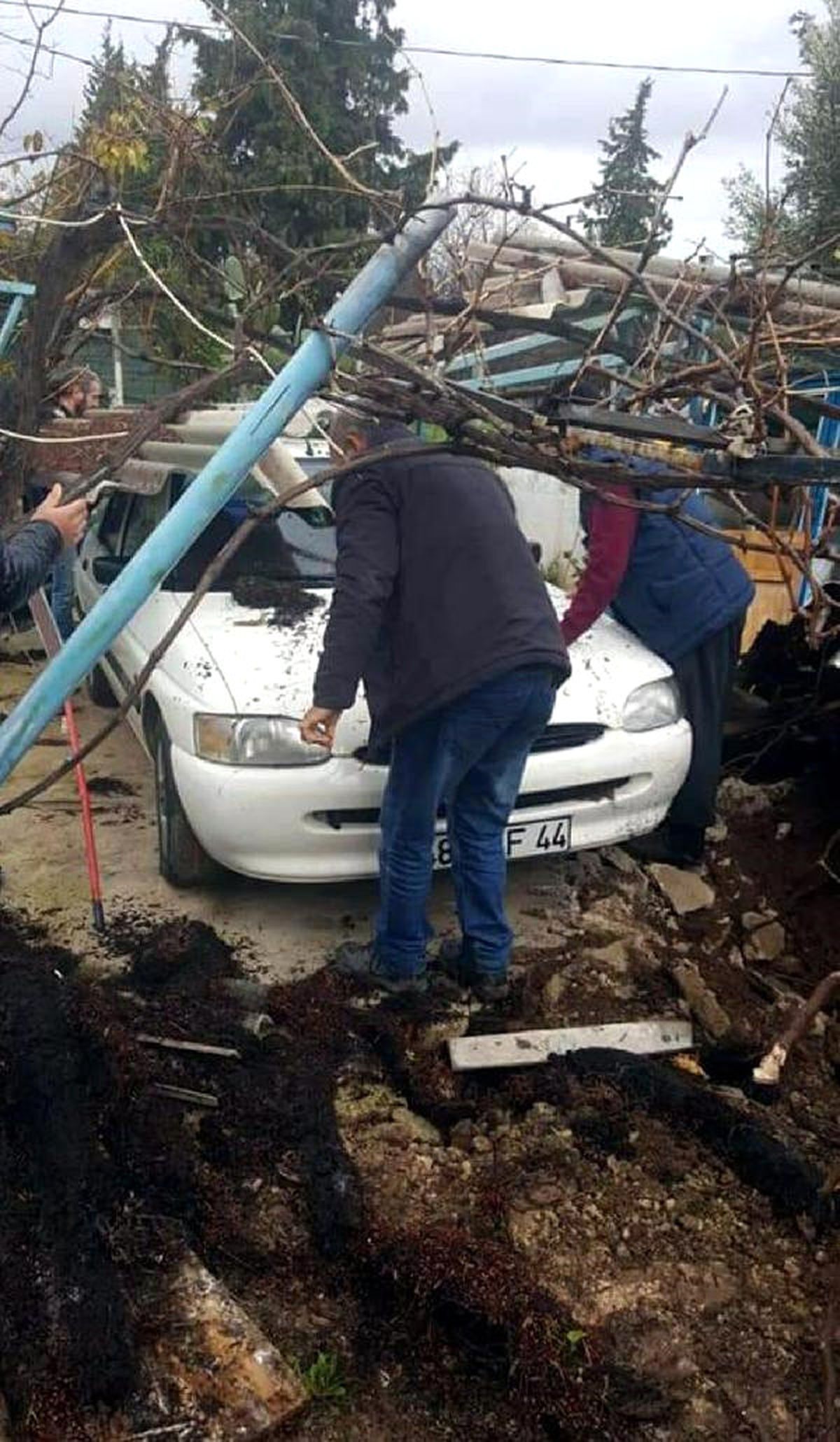Datça\'da Hortumun Devirdiği Ağaç Hasara Neden Oldu