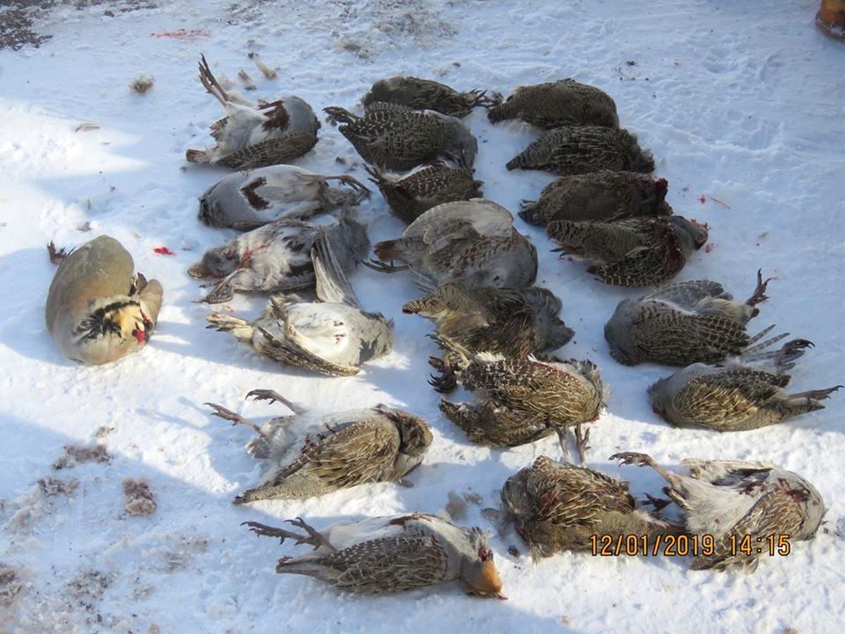 Erzincan\'da Kaçak Avcıya 17 Bin 194 TL Para Cezası Verildi
