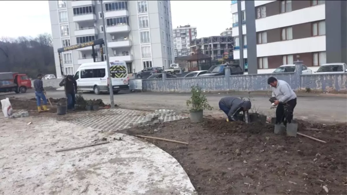 Fatsa Belediyesinin Park Çalışmaları