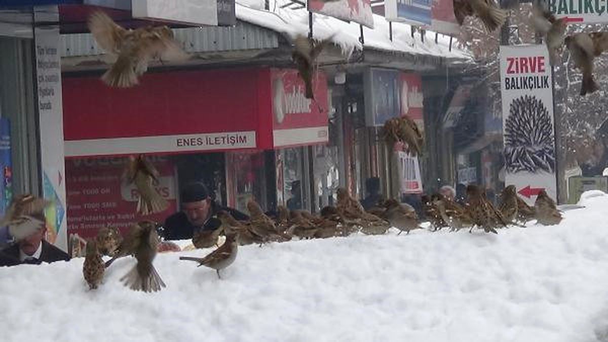 Aracını Kuşlar İçin Yuva Yaptı