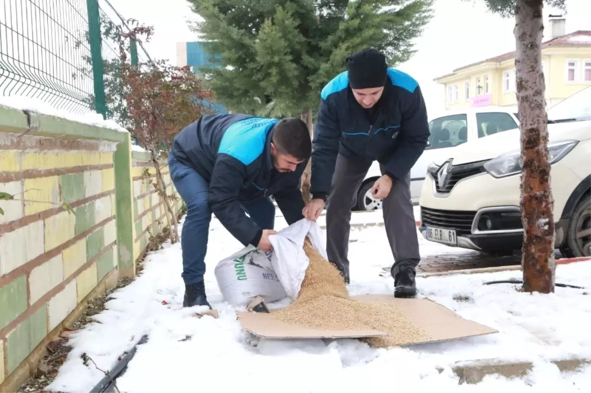 Elazığ\'da Sokak Hayvanları İçin Yem Bırakıldı