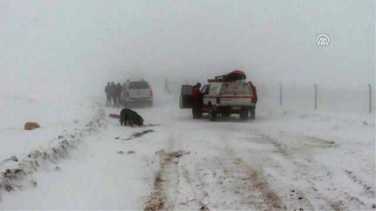 Kar Altında Mahsur Kalan Köpekleri Akut Kurtardı