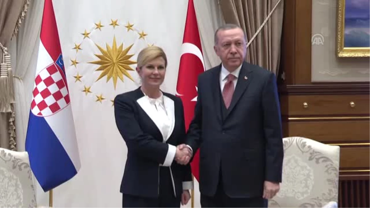 Erdoğan-Kitaroviç Görüşmesi