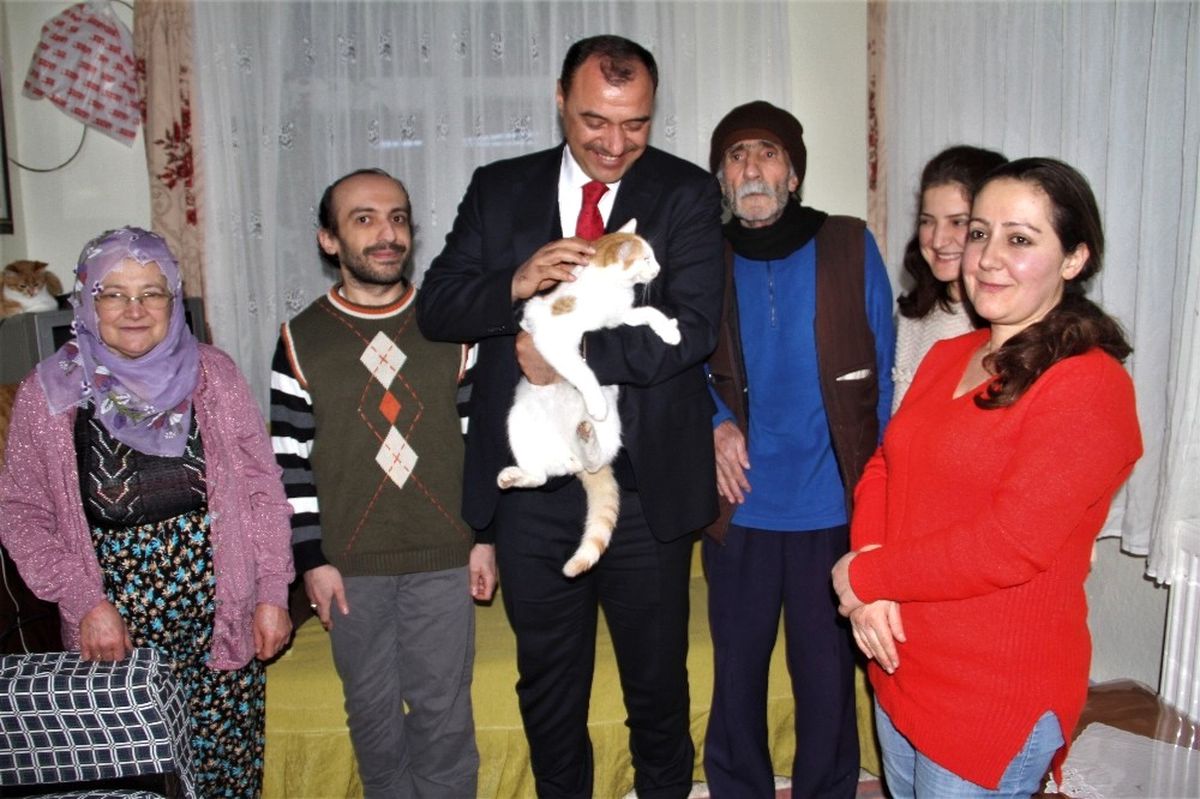 Evinde 58 Kediye Bakan Nuriye Teyzeye, Vali Kaldırım\'dan Destek