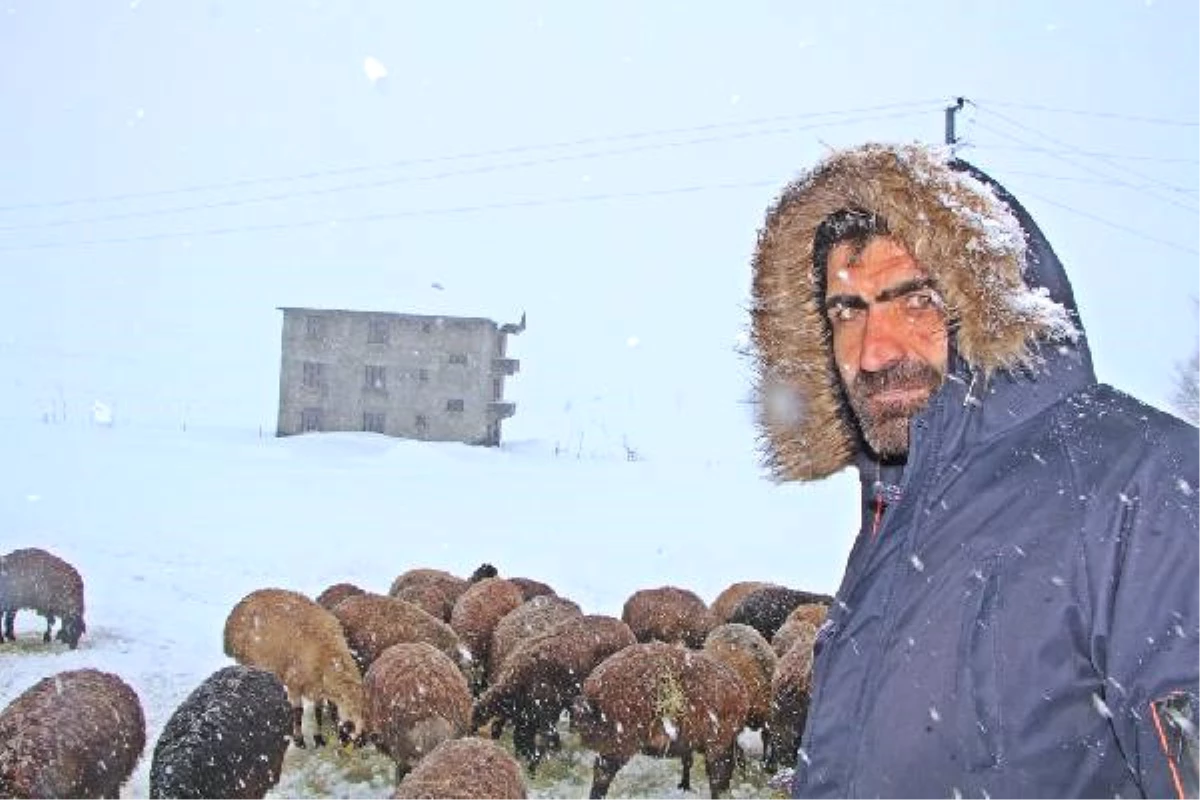 Karlıova\'da 2 Metreyi Bulan Kar, Hayvancılığı Zorlaştırıyor