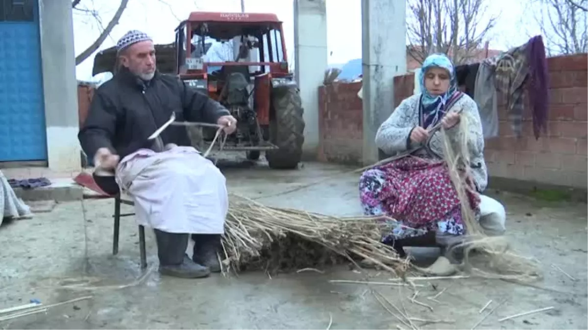 Kenevir Islahında "Omü" Öncü Oldu