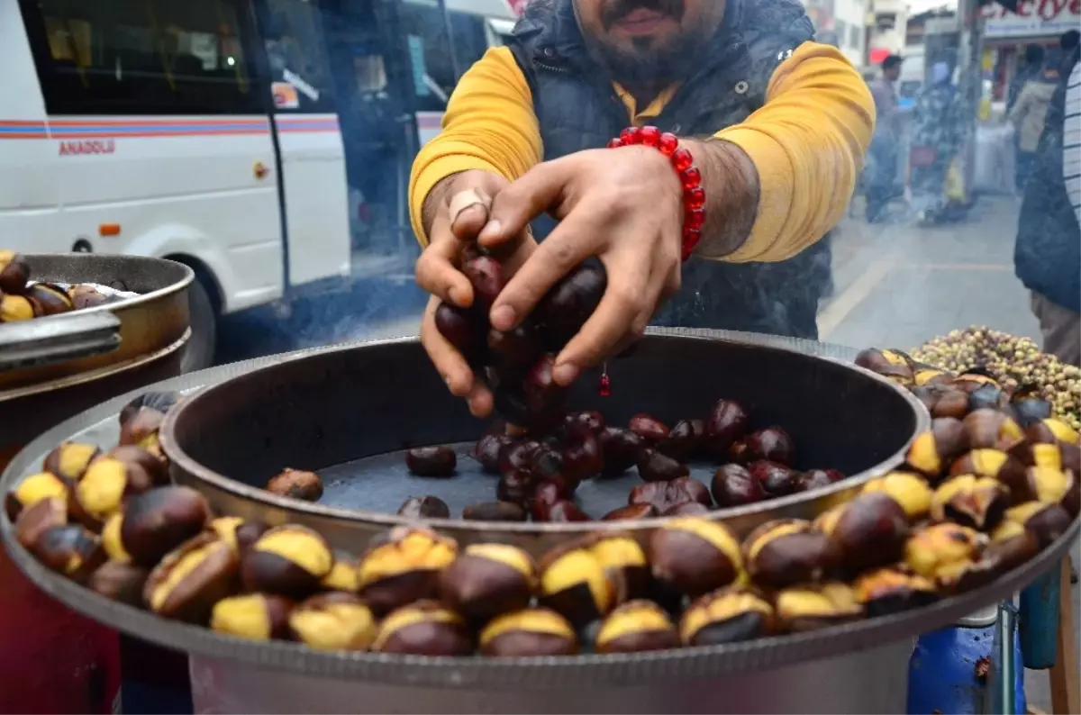 Komisyoncunun "Çin Kestanesi" İsyanı: Yerli ve Milli Kestanemizi Yemeliyiz