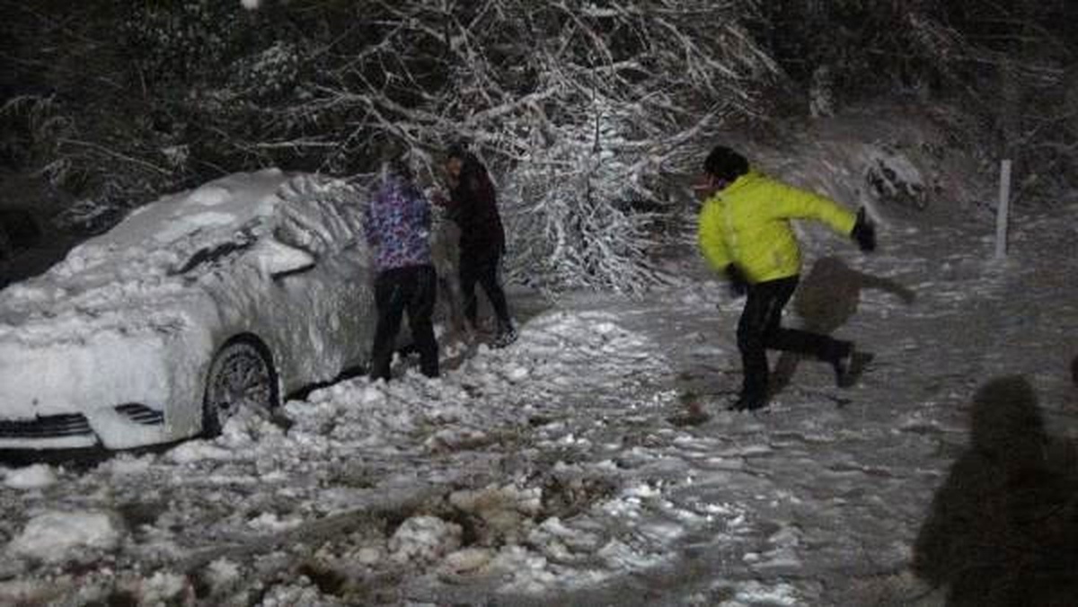 Okullar Tatil Olunca, Gece Yarısı Kartopu Oynamaya Geldiler