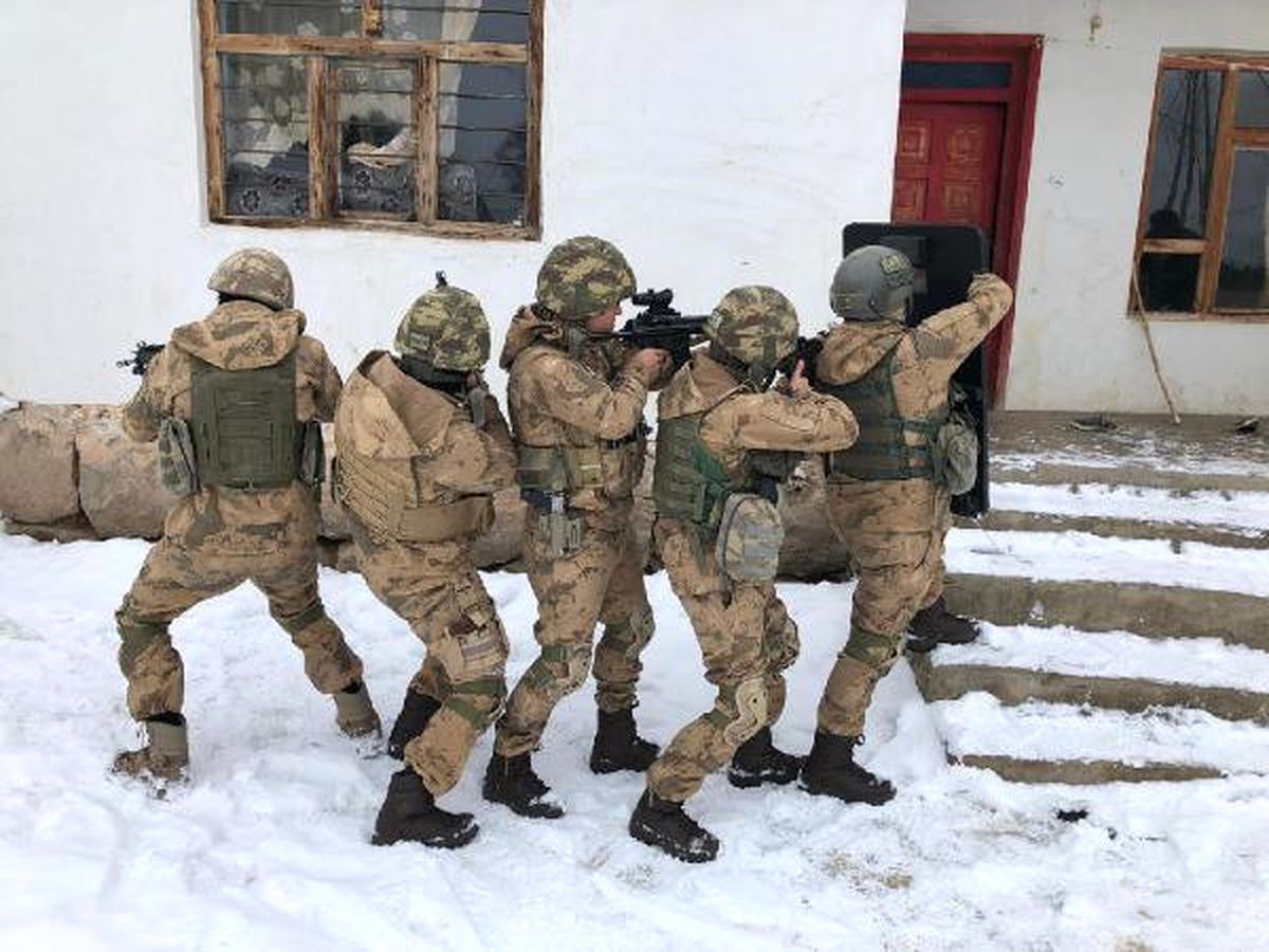Van\'da Terör Operasyonu: 20 Gözaltı
