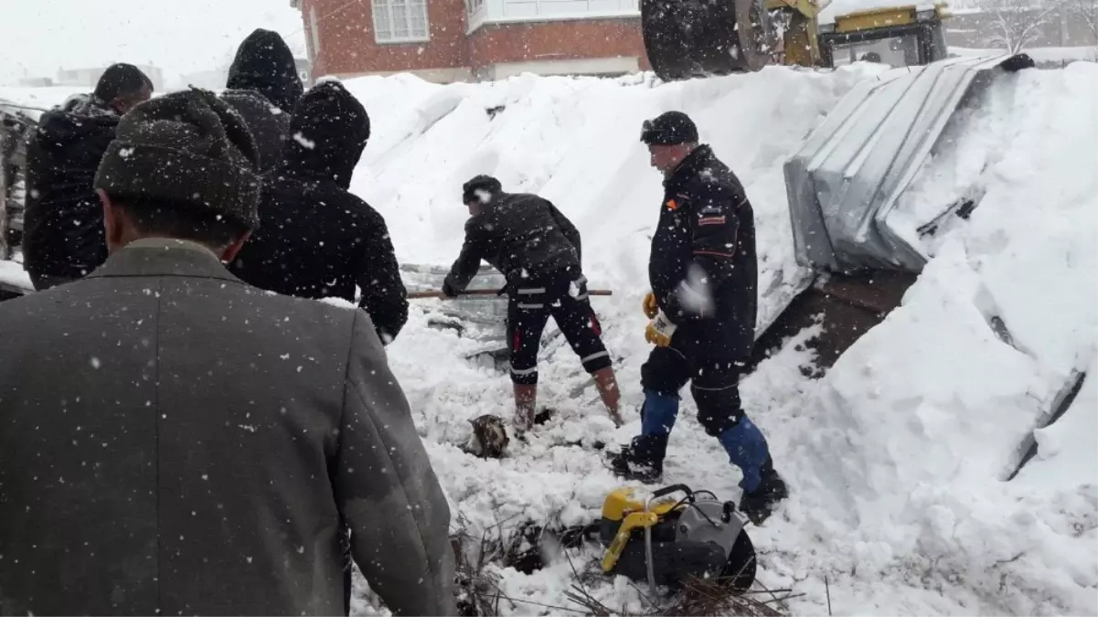 Yoğun Kar Yağışına Dayanamayan Ahırın Tavanı Çöktü