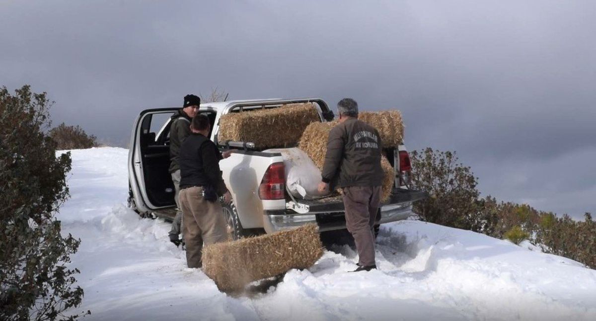 Akdağ\'a Yaban Hayvanları İçin Yem Bırakıldı