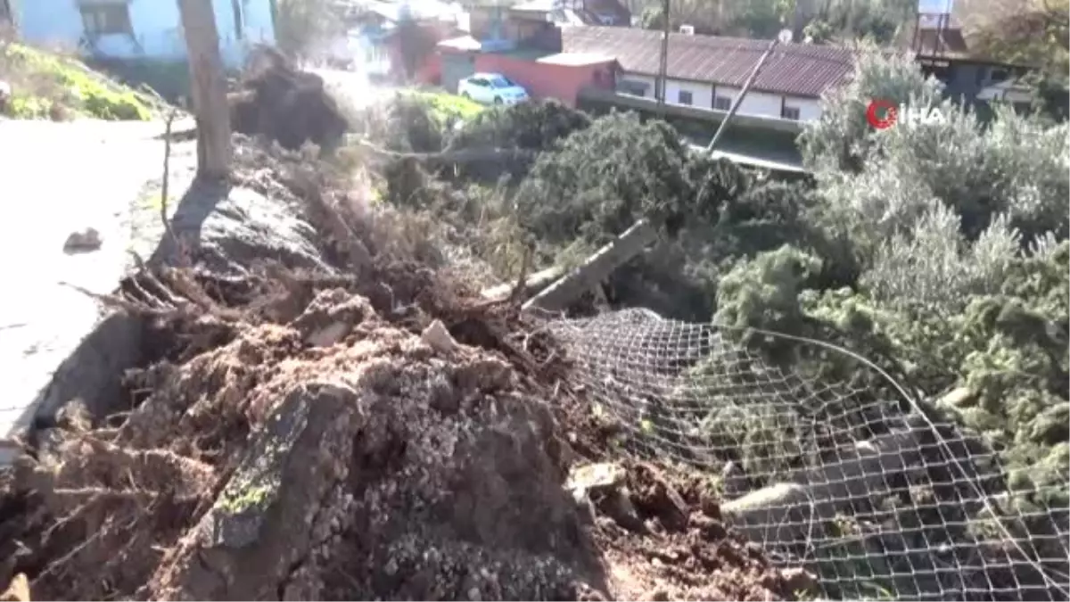 Hatay\'da Şiddetli Fırtınadan Ağaçlar Devrildi, Evlerin Çatıları Çöktü