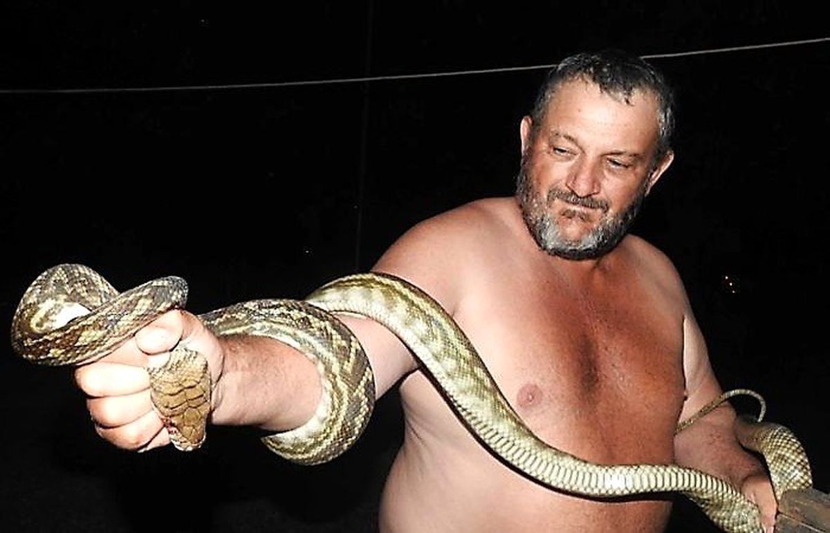 Kahraman Baba Oğlunu Piton Saldırısından Kurtardı