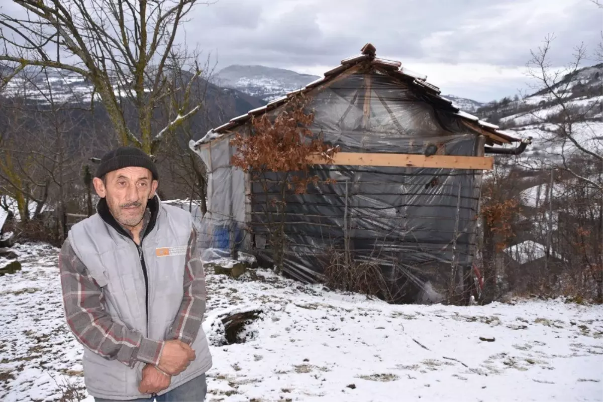 Kış Günü Naylon Barakada Yaşam Savaşı