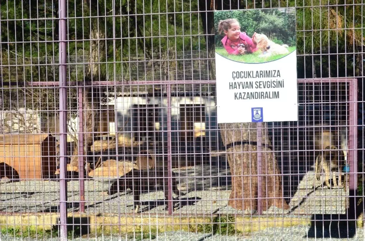 Öğrencilerden Geçici Hayvan Bakım Merkezine Ziyaret