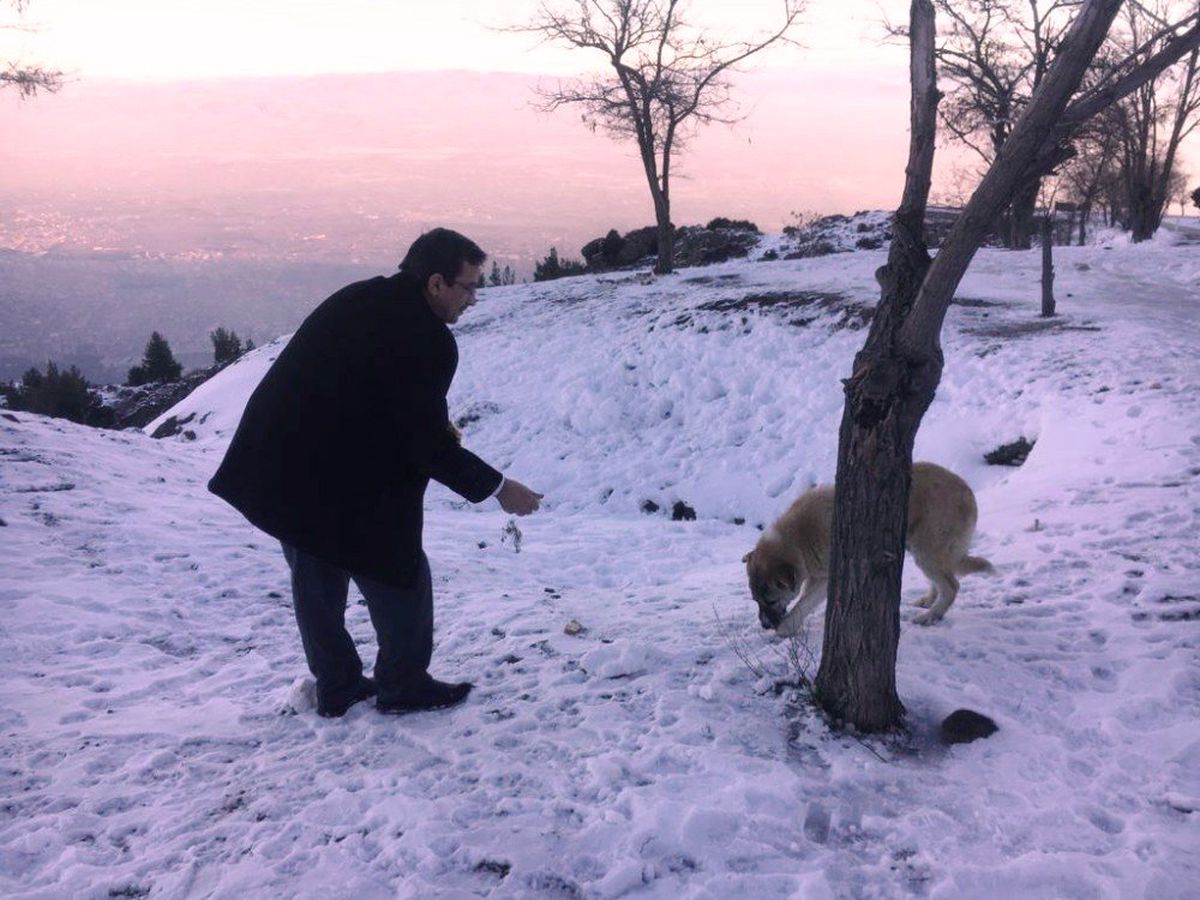 Şehzadeler Sokak Hayvanlarını Unutmadı